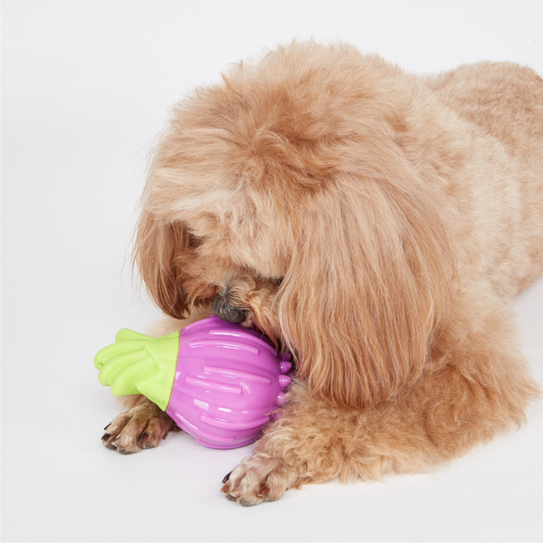 Barkbutler x Fofos Giggling Vegi Bites Onion Squeaky Chew Toy for Dogs
