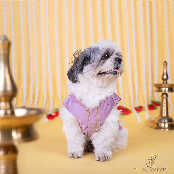 The Papaw Cartel Gota Patti Embroidered Sleeveless Sherwani for Dogs & Cats (Lilac)