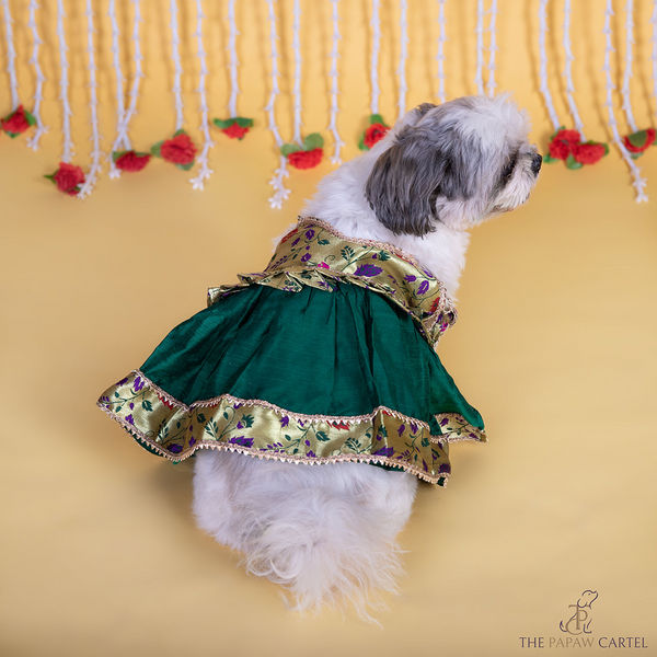 The Papaw Cartel Paithani Tie Up Dress with Gotapati for Dogs & Cats (Green)