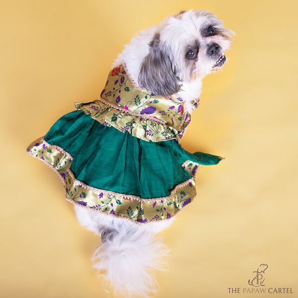 The Papaw Cartel Paithani Tie Up Dress with Gotapati for Dogs & Cats (Green)