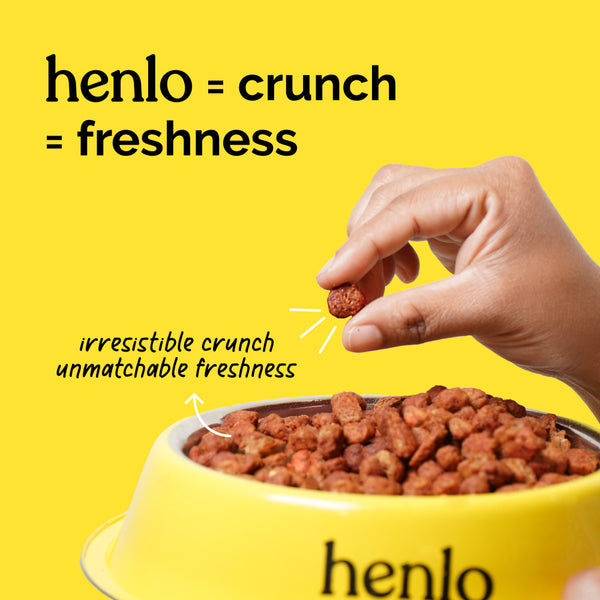 Henlo Chicken and Egg Baked Dry Food for Adult Dogs & Puppies | 100% Human Grade Ingredients