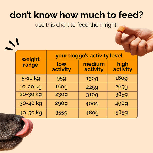 Henlo Baked Chicken & Rice Adult and Puppy Gluten free Dog Dry Food | 100% human grade ingredients