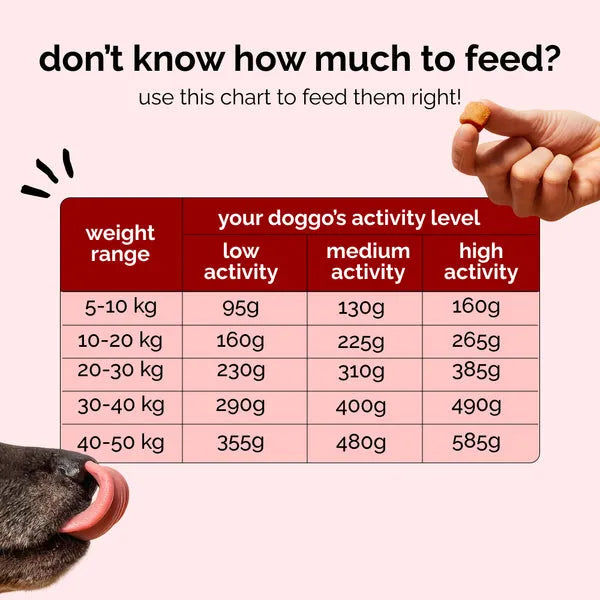 Henlo Baked Chicken Adult and Puppy Dog Dry Food | 100% Human Grade Ingredients