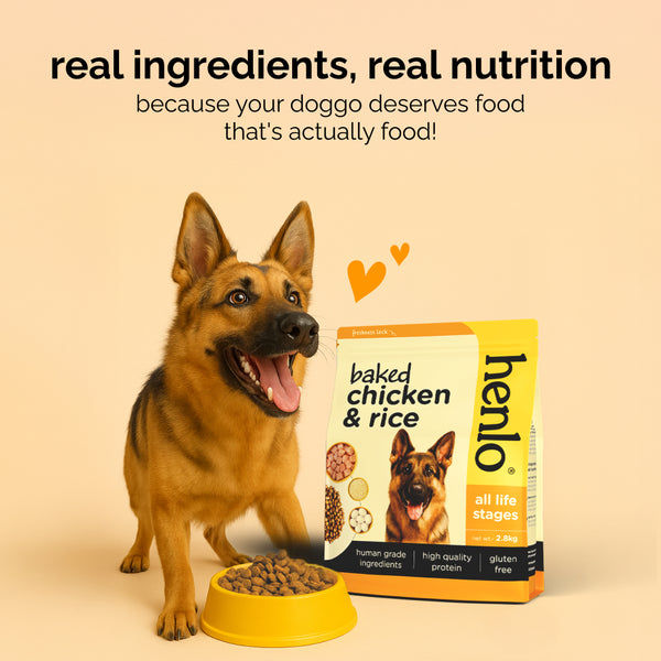 Henlo Baked Chicken & Rice Adult and Puppy Gluten free Dog Dry Food | 100% human grade ingredients