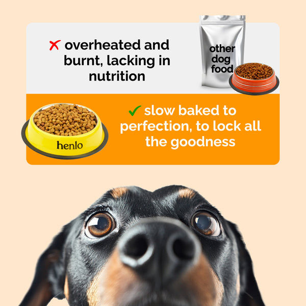 Henlo Baked Chicken & Rice Adult and Puppy Gluten free Dog Dry Food | 100% human grade ingredients