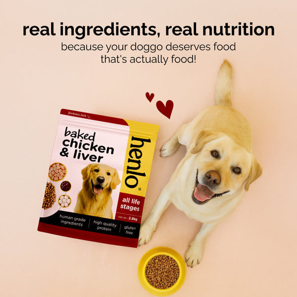 Henlo Baked Chicken & Liver Adult and Puppy Dog Dry Food | 100% human grade ingredients