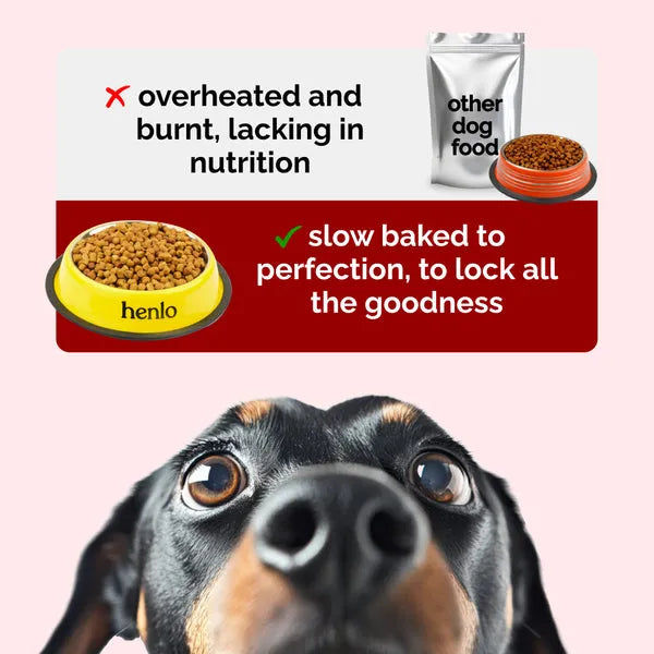 Henlo Baked Chicken Adult and Puppy Dog Dry Food | 100% Human Grade Ingredients