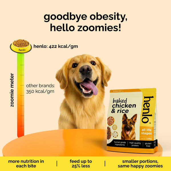 Henlo Baked Chicken & Rice Adult and Puppy Gluten free Dog Dry Food | 100% human grade ingredients