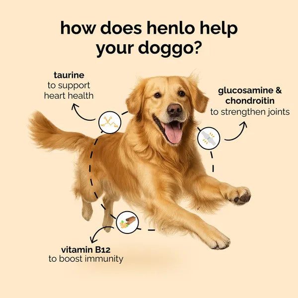 Henlo Baked Chicken Adult and Puppy Dog Dry Food | 100% Human Grade Ingredients