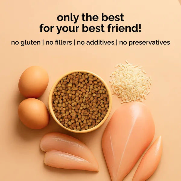 Henlo Baked Chicken Adult and Puppy Dog Dry Food | 100% Human Grade Ingredients