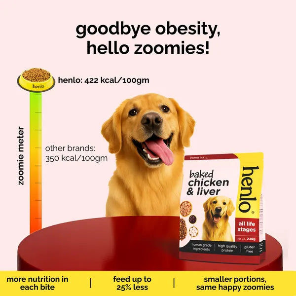 Henlo Baked Chicken Adult and Puppy Dog Dry Food | 100% Human Grade Ingredients