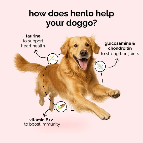 Henlo Baked Chicken Adult and Puppy Dog Dry Food | 100% Human Grade Ingredients
