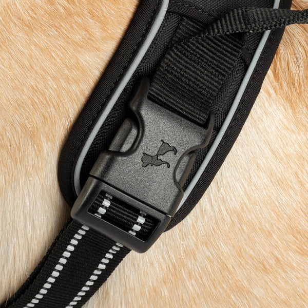 HUFT Xplorers Harness for Dogs (Black)