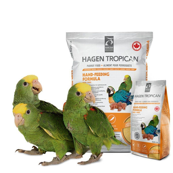 Hagen Tropican Hand Feeding Formula Bird Food (Yellow)