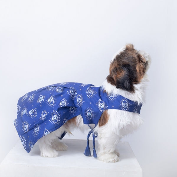 15 Furries Evil Eye Dress for Dogs