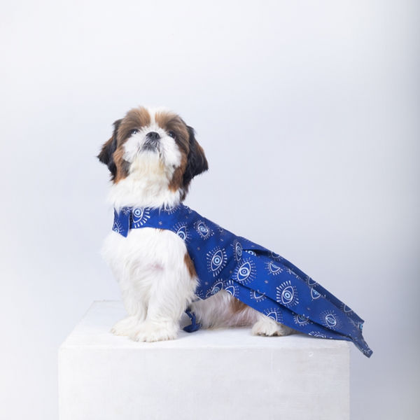 15 Furries Evil Eye Dress for Dogs