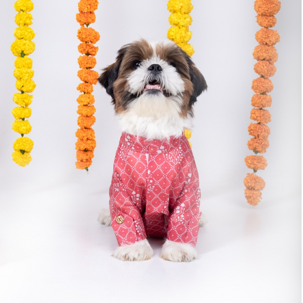 15 Furries Khushi Kurta for Dogs