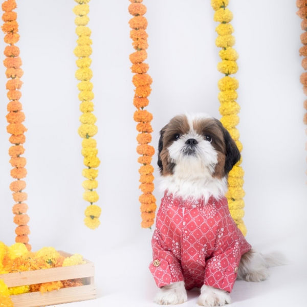 15 Furries Khushi Kurta for Dogs