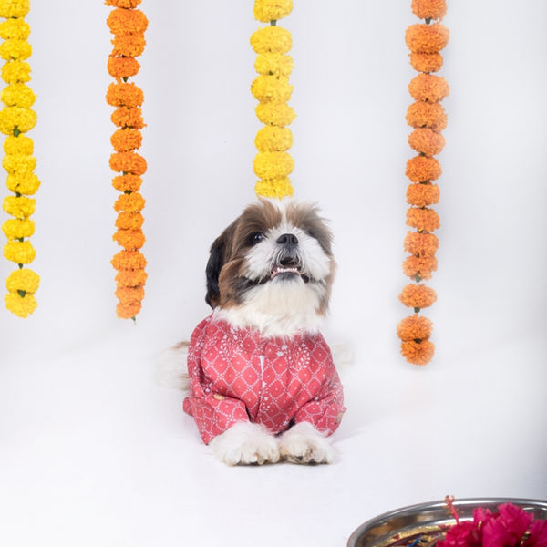 15 Furries Khushi Kurta for Dogs