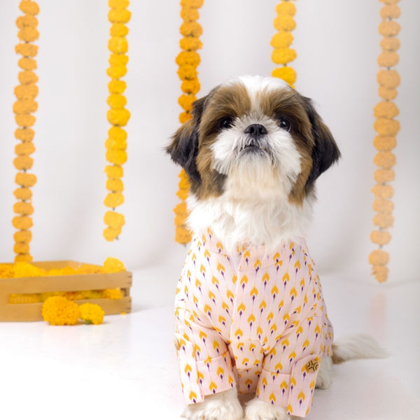 15 Furries Sanskriti Kurta for Dogs
