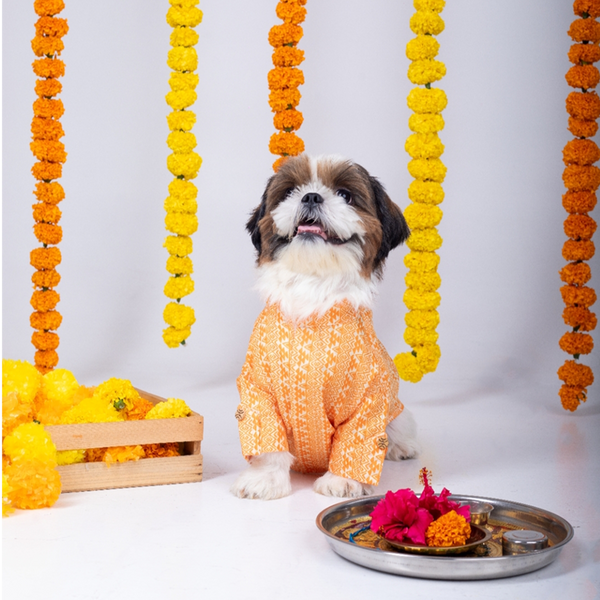 15 Furries Haldi Kurta for Dogs