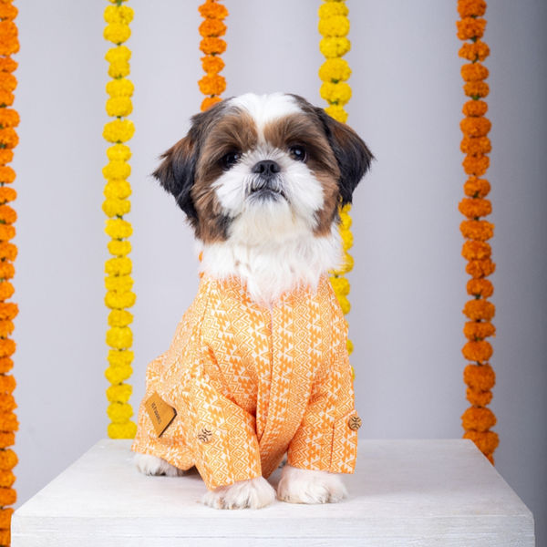 15 Furries Haldi Kurta for Dogs