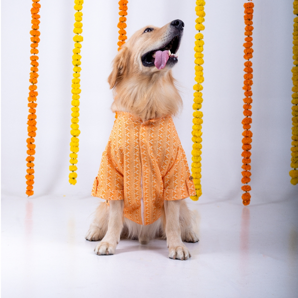 15 Furries Haldi Kurta for Dogs
