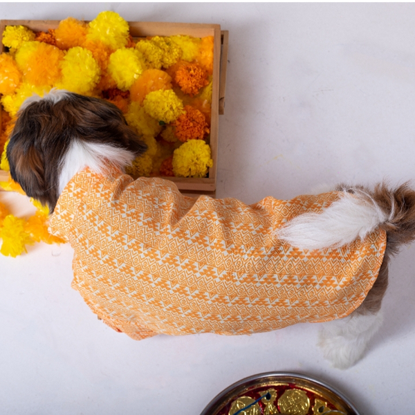 15 Furries Haldi Kurta for Dogs