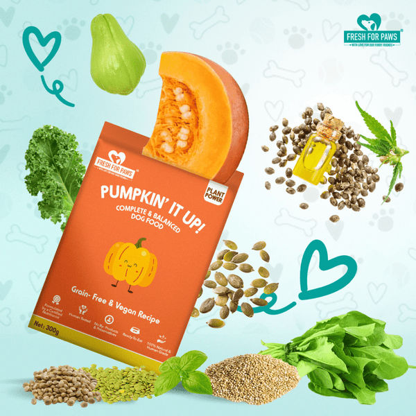 Fresh For Paws Pumpkin It Up Dog Wet Food (300g)