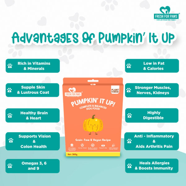 Fresh For Paws Pumpkin It Up Dog Wet Food (300g)