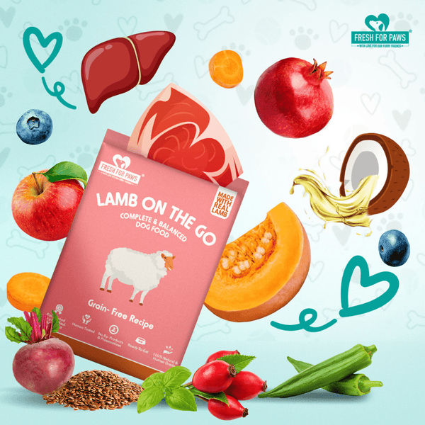 Fresh For Paws Lamb On The Go Dog Wet Food (300g)