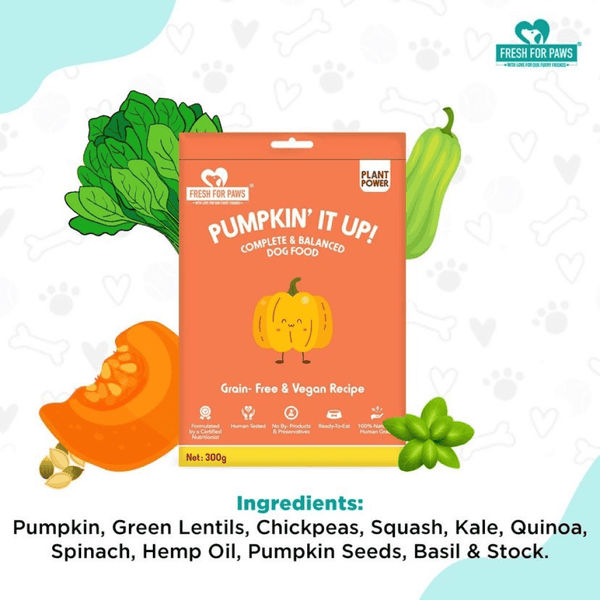 Fresh For Paws Pumpkin It Up Dog Wet Food (300g)