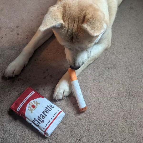 Talking Dog Club No Smoke Cigarette with Cover Plush Toy for Dogs