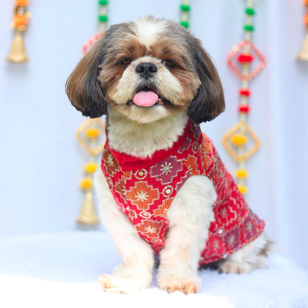 Pawgypets Festive Patola Kurta for Dogs (Red)