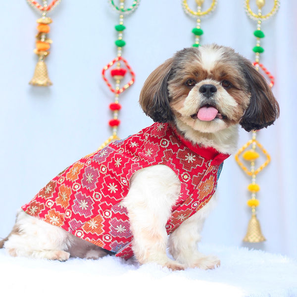 Pawgypets Festive Patola Kurta for Dogs (Red)