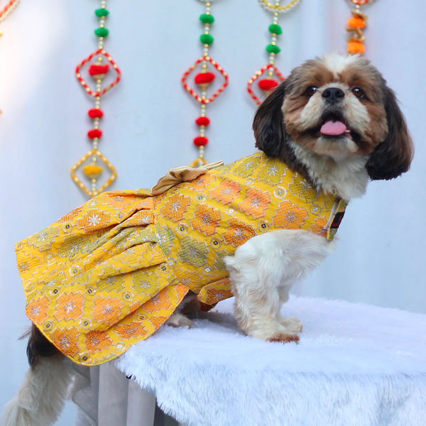Pawgypets Festive Patola Dress for Dogs (Yellow)