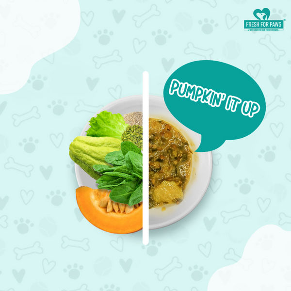 Fresh For Paws Pumpkin It Up Dog Wet Food (300g)