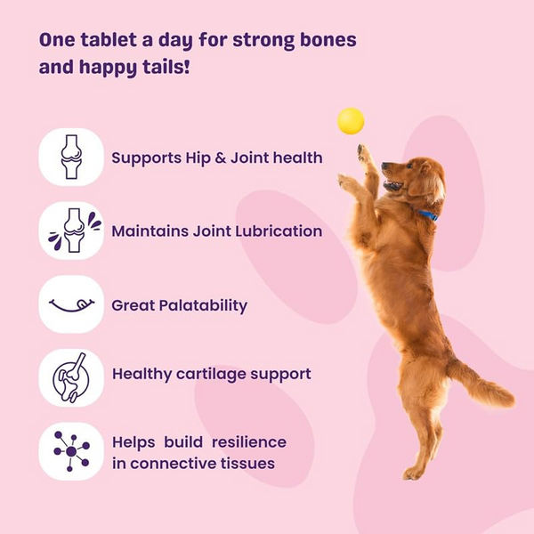 Unleash Wellness Jounce Hip and Joint Support Chews for Dogs and Cats