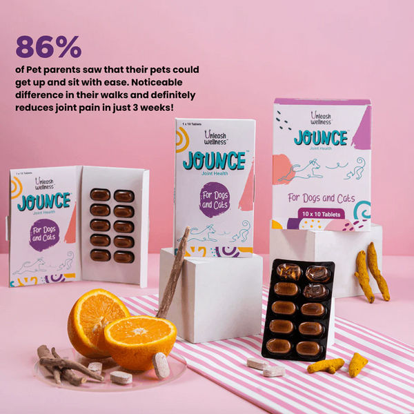 Unleash Wellness Jounce Hip and Joint Support Chews for Dogs and Cats
