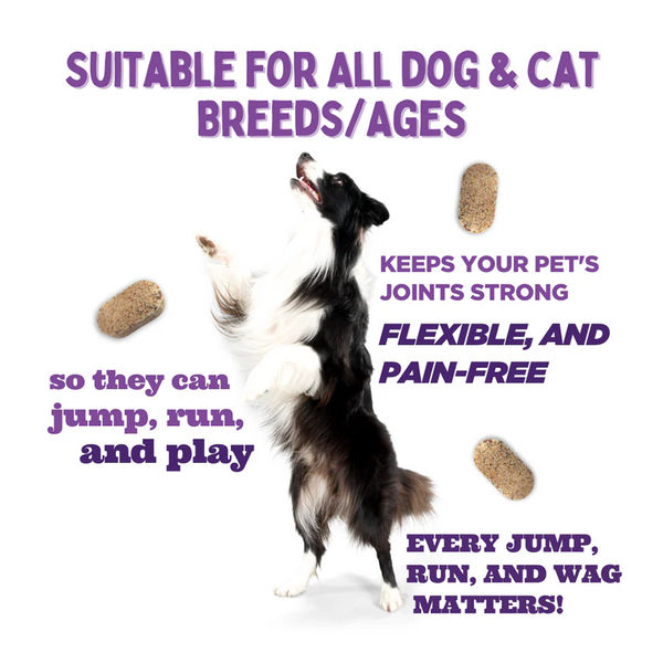 Unleash Wellness Jounce Hip and Joint Support Chews for Dogs and Cats