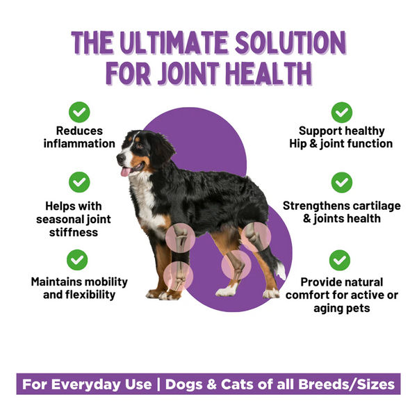 Unleash Wellness Jounce Hip and Joint Support Chews for Dogs and Cats