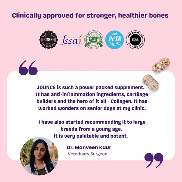 Unleash Wellness Jounce Hip and Joint Support Chews for Dogs and Cats