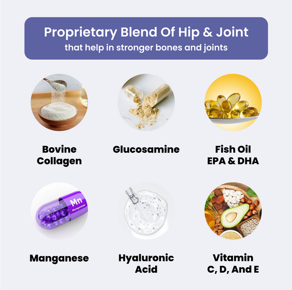 Absolut Pet Hip and Joint Care Dog Supplement