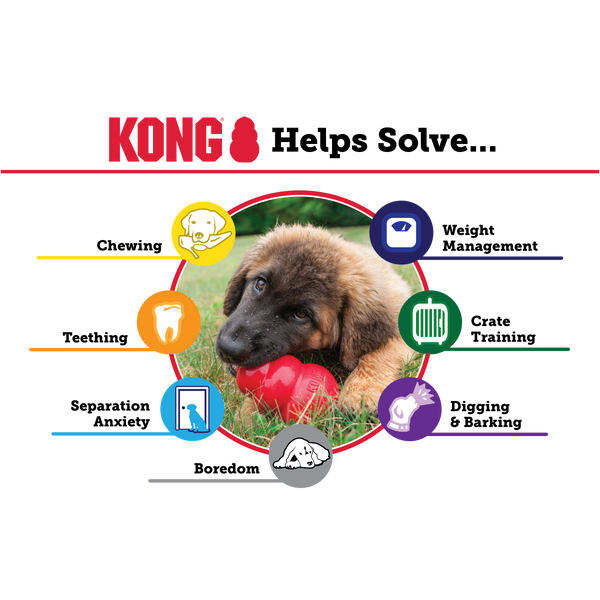 Kong Extreme Toy for Dogs (Black)