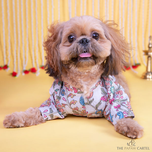 The Papaw Cartel Kalamkari Print Classic Kurta with Zari for Dogs & Cats