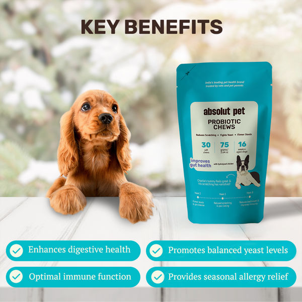 Absolut Pet Probiotics Gut Health Dog Supplement