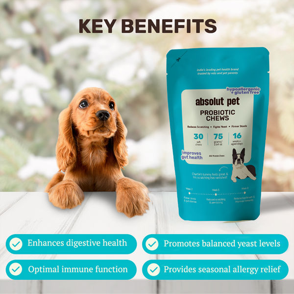 Absolut Pet Probiotics Hypoallergenic Gut Health Dog Supplement