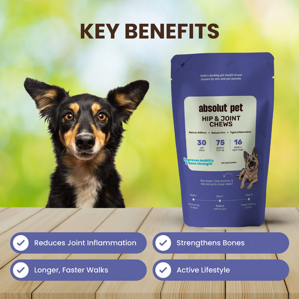 Absolut Pet Hip and Joint Care Dog Supplement