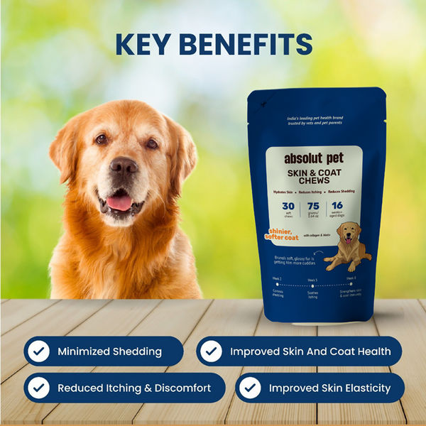 Absolut Pet Skin & Coat with Collagen and Biotin Dog Supplement