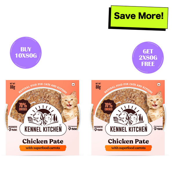 Kennel Kitchen Chicken Pate with Superfood Carrot Cat Wet Food